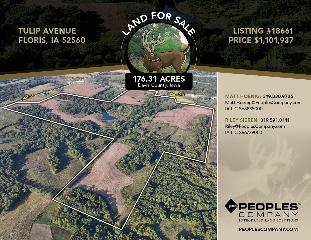 Listing #18661